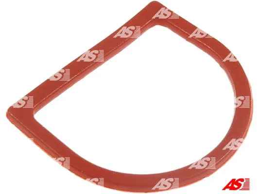 Repair Kit, starter (SRS0100)