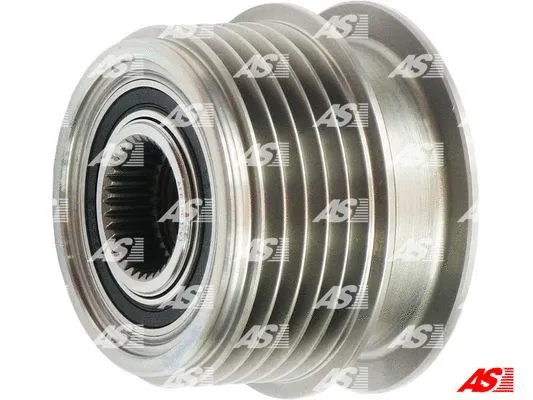 Alternator Freewheel Clutch (AFP3003(V))