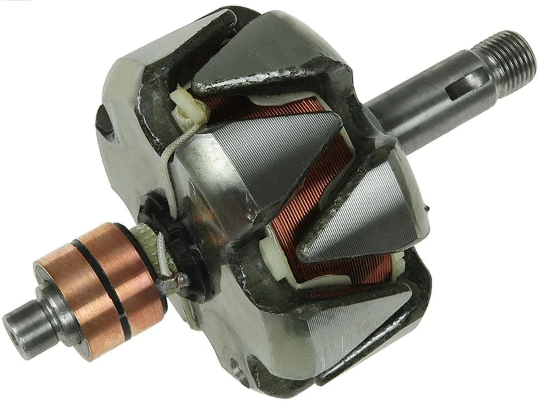Rotor, alternator (AR0050)