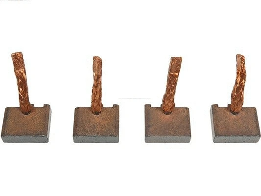 Carbon Brush, starter (BSX220-221)