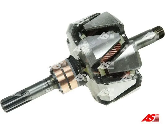 Rotor, alternator (AR2015)