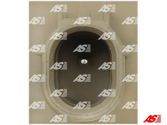 Alternator Regulator