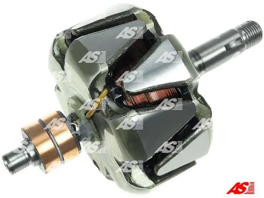 Rotor, alternator (AR0002)