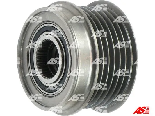 Alternator Freewheel Clutch (AFP9013(V))