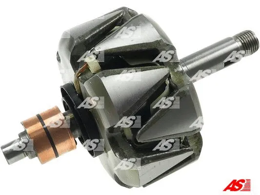 Rotor, alternator (AR0065)