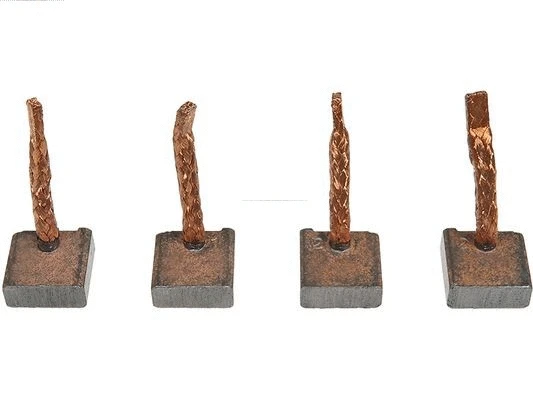 Carbon Brush, starter (BSX218-219)