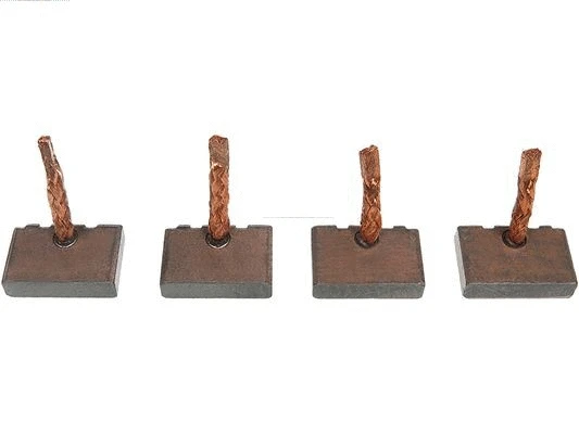 Carbon Brush, starter (BSX190-191)