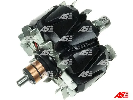 Rotor, alternator (AR5048S)