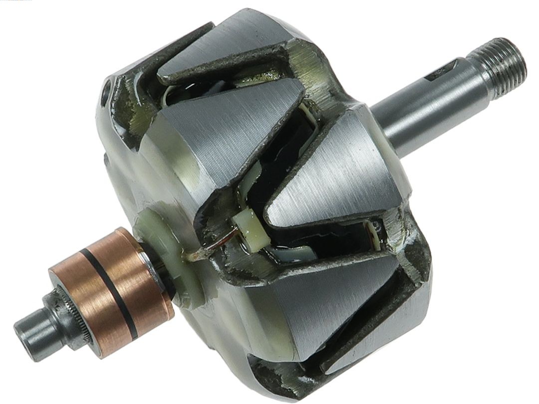 Rotor, alternator (AR0127S)