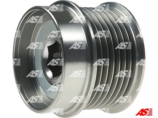 Alternator Freewheel Clutch (AFP6037)