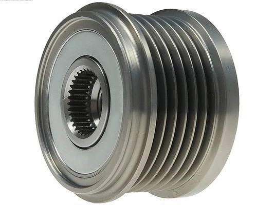 Alternator Freewheel Clutch (AFP9010)