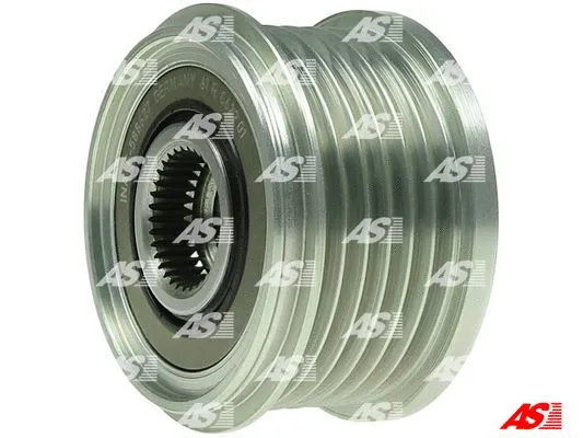 Alternator Freewheel Clutch (AFP0109(INA))