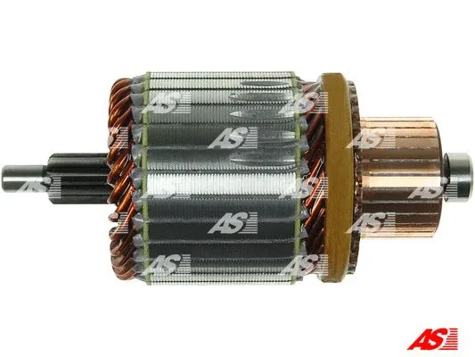 Armature, starter (SA2010)