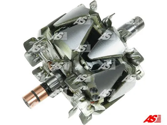Rotor, alternator (AR1009)