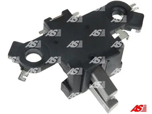 Holder, carbon brushes