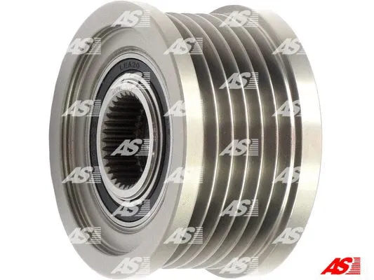 Alternator Freewheel Clutch (AFP6013(V))