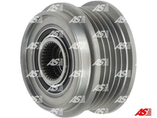Alternator Freewheel Clutch (AFP0019(V))