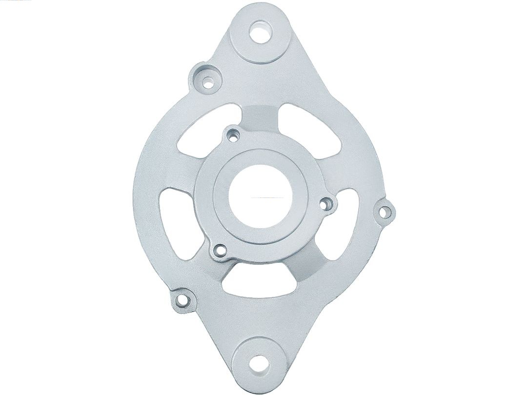 Bracket, alternator drive flange (ABR9069S)