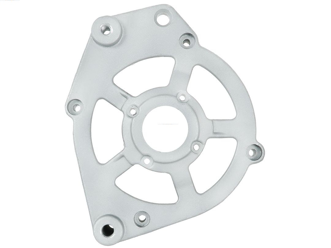 Bracket, alternator drive flange (ABR0243S)