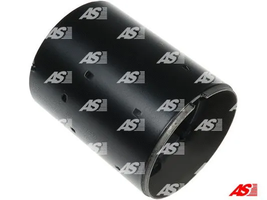 Field Winding, starter (SF6025S)