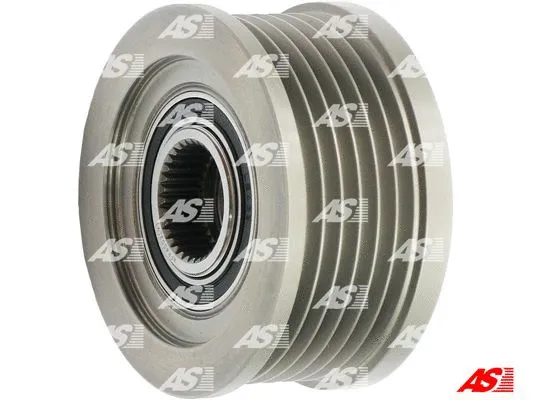 Alternator Freewheel Clutch (AFP4002(V))
