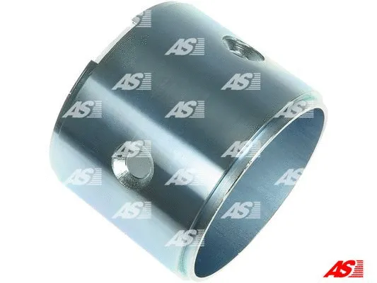 Field Winding, starter (SF4007)