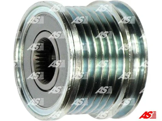 Alternator Freewheel Clutch (AFP0073)