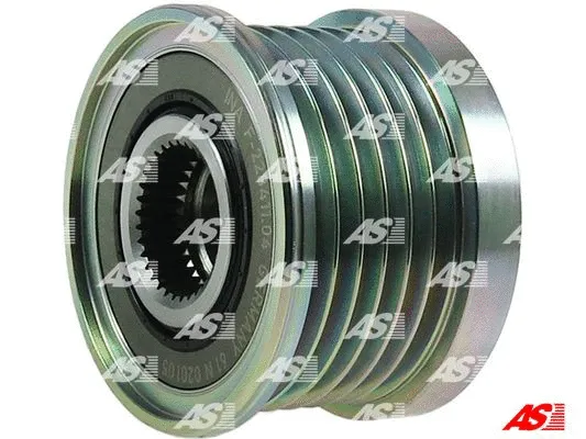 Alternator Freewheel Clutch (AFP6032(INA))