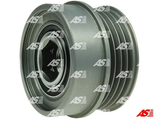 Alternator Freewheel Clutch (AFP5021S)