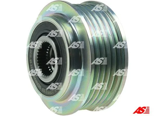 Alternator Freewheel Clutch (AFP6009(INA))