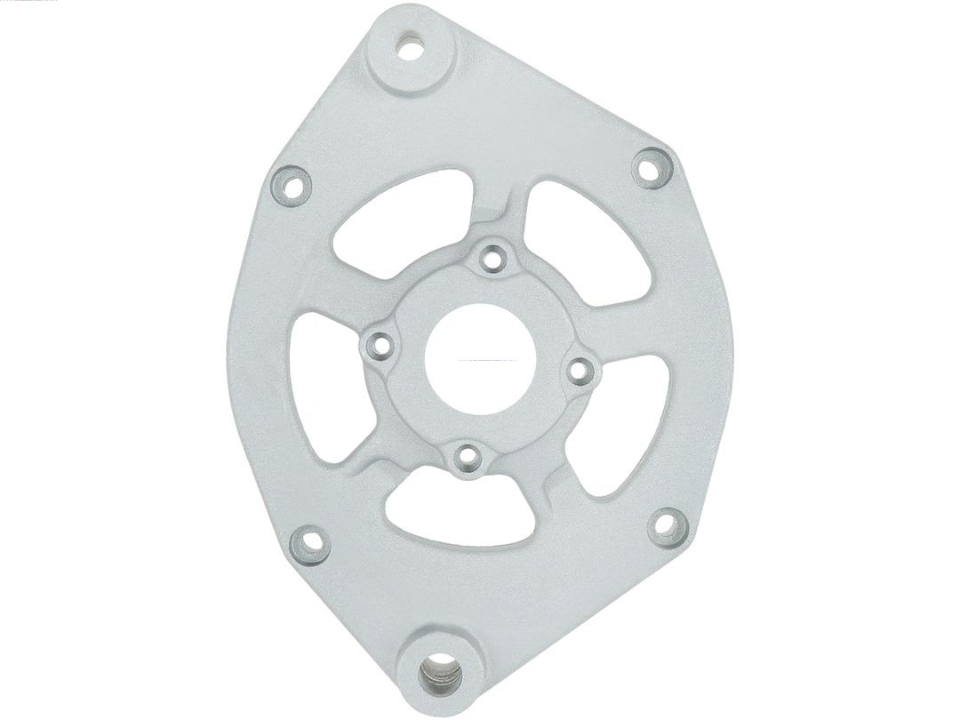 Bracket, alternator drive flange (ABR0296S)