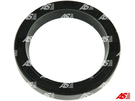 Repair Set, alternator (SRS0105)