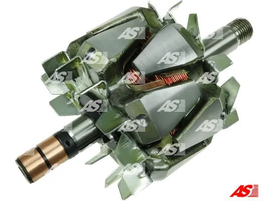Rotor, alternator (AR9025S)