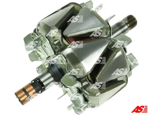 Rotor, alternator (AR0014)
