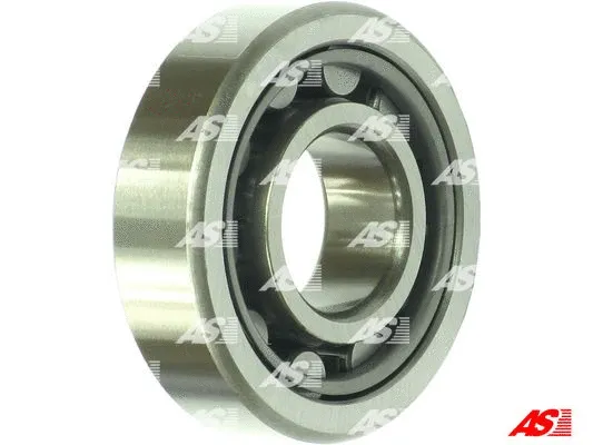 Bearing (ABE9124)