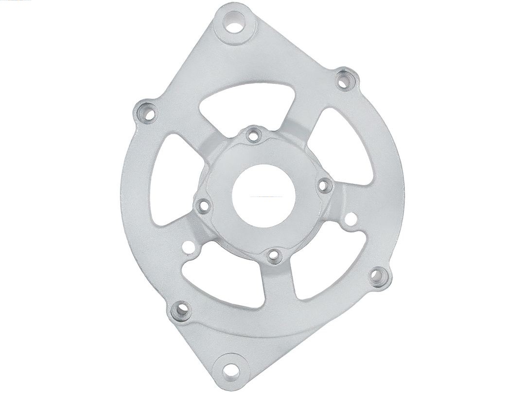 Bracket, alternator drive flange (ABR0229S)
