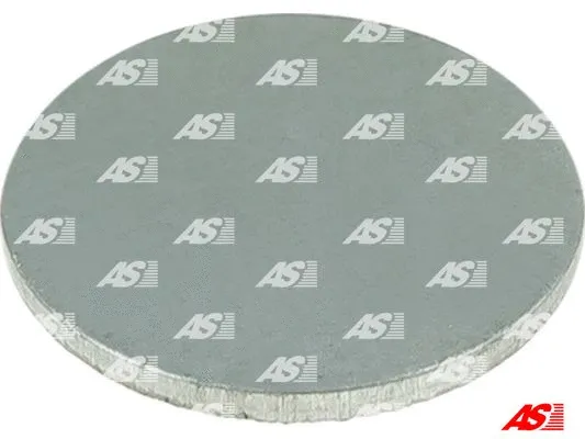 Repair Set, alternator (SRS5019)