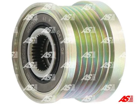 Alternator Freewheel Clutch (AFP5012(INA))