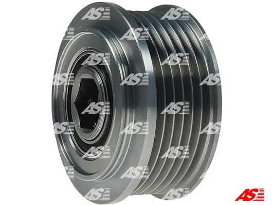 Alternator Freewheel Clutch (AFP5035S)