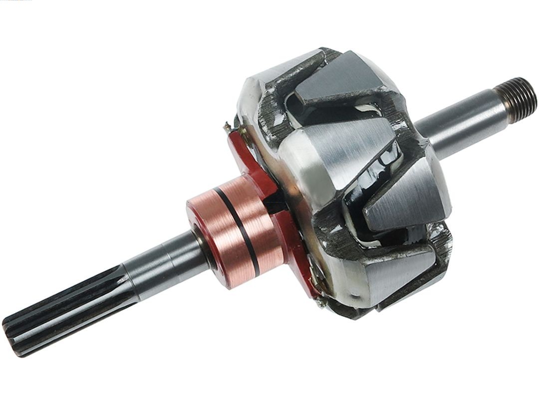Rotor, alternator (AR2028S)