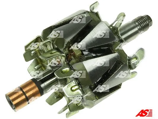 Rotor, alternator (AR6021)