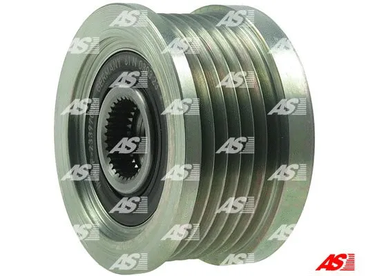 Alternator Freewheel Clutch (AFP6007(INA))