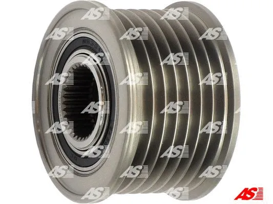 Alternator Freewheel Clutch (AFP5007(V))