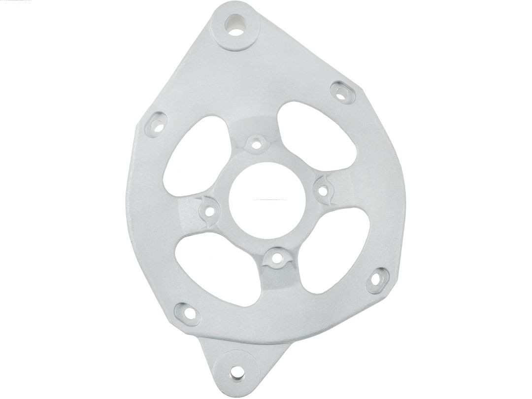 Bracket, alternator drive flange (ABR3116S)