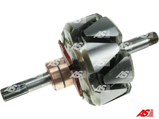 Rotor, alternator (AR2016)