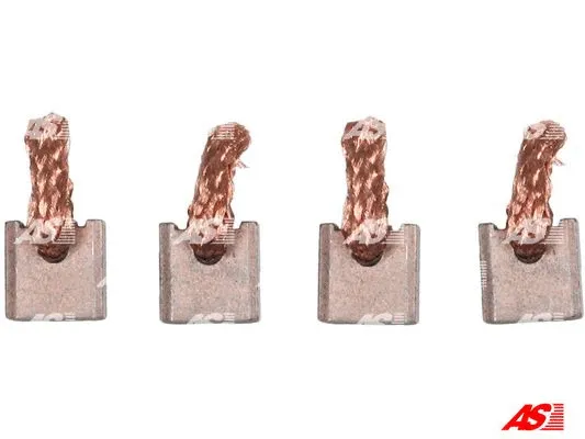 Carbon Brush, starter (PLSX5)