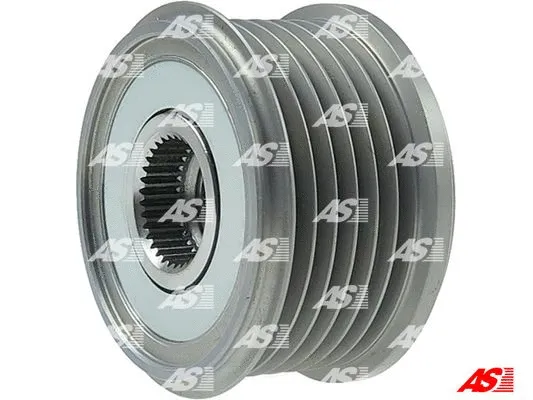 Alternator Freewheel Clutch (AFP6040)