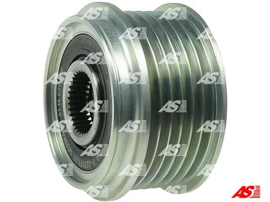 Alternator Freewheel Clutch (AFP0022(INA))