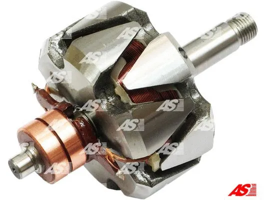 Rotor, alternator (AR2011)