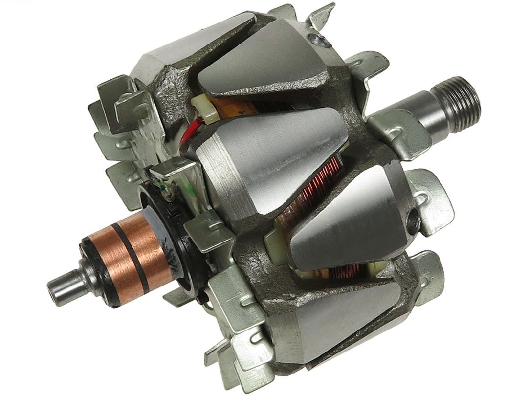 Rotor, alternator (AR5069S)